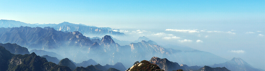 佰利乐·(中国区)有限公司官网